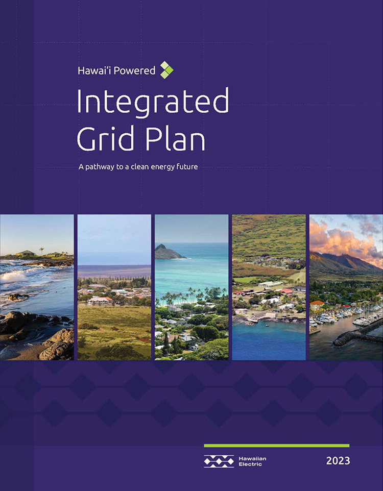 Integrated Grid Plan Promo