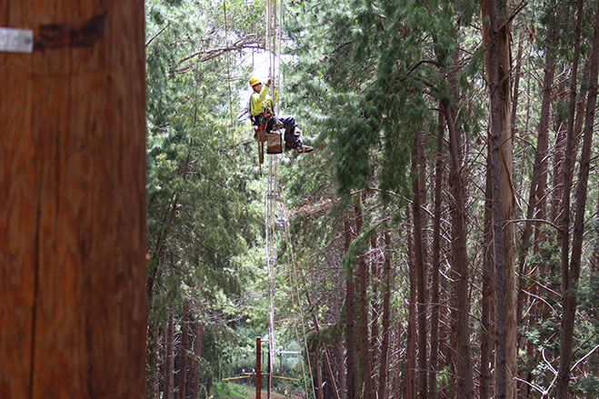 Electric Lineman in Harness