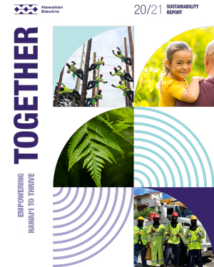 Sustainability report cover image