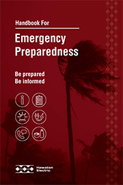 Handbook for Emergency Preparedness