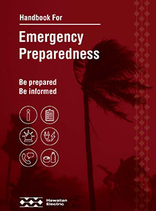 Handbook for Emergency Preparedness - English