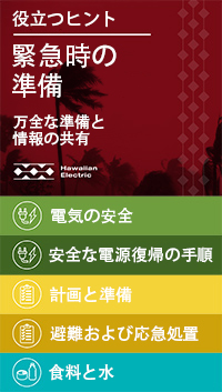 Japanese Emergency Checklist