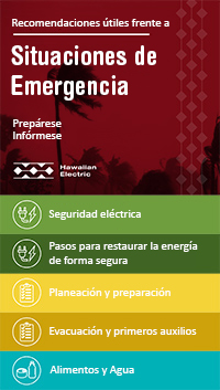Spanish Emergency Checklist